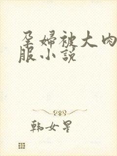 孕妇被大肉楱征服小说封面