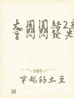 大团圆结2亲情会闪闪发光封面