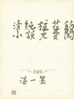 清纯校花的秘密小说免费阅读封面