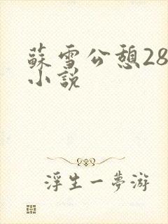 苏雪公憩28篇小说