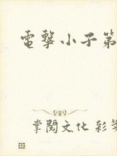 电击小子第二部