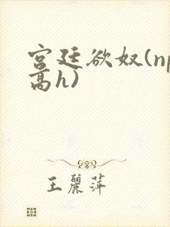 宫廷欲奴(np高h)
