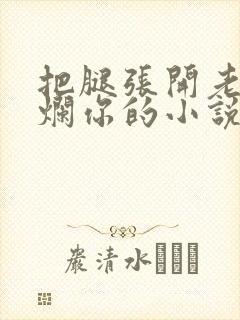 把腿张开老子臊烂你的小说