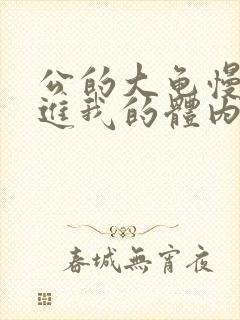 公的大龟慢慢挺进我的体内视频