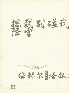 总裁别碰我 韩降雪