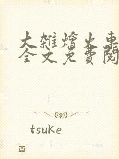 大杂烩火车小说全文免费阅读封面