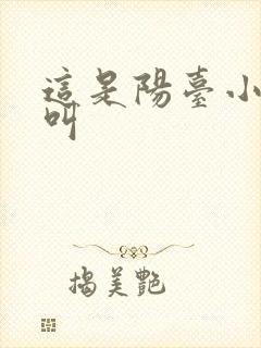 这是阳台小点声叫封面