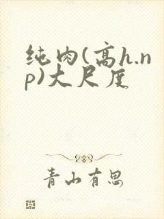 纯肉(高h.np)大尺度