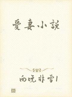 爱妻小说