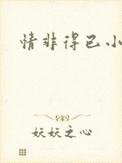 情非得已小说封面