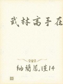 武林高手在异界封面