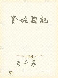 贵婉日记封面