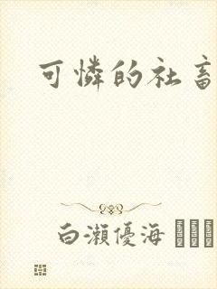 可怜的社畜封面