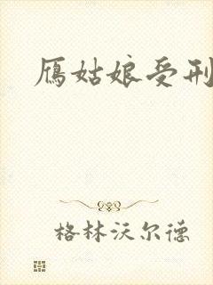 雁姑娘受刑记封面