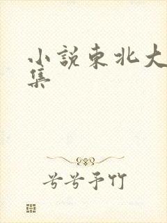 小说东北大炕全集