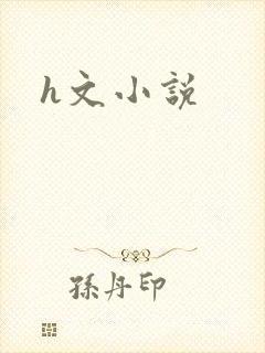 h文小说封面