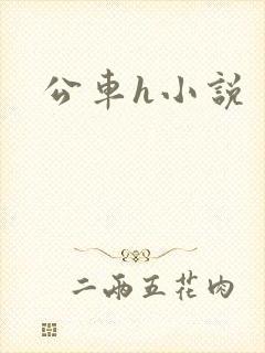 公车h小说