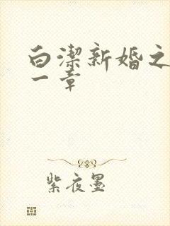 白洁新婚之夜第一章