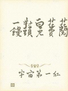 一对白花花的大馒头免费阅读