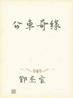 公车奇缘封面