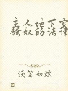 主人地下室惩罚骚奴的法律后果封面