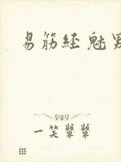 易筋经 魅男封面