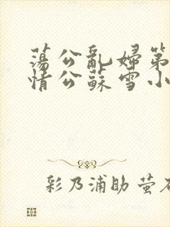 荡公乱妇第1章情公苏雪小说封面