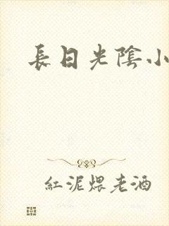 长日光阴小说