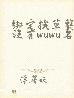 绑定挨草系统后没有wuwu名字