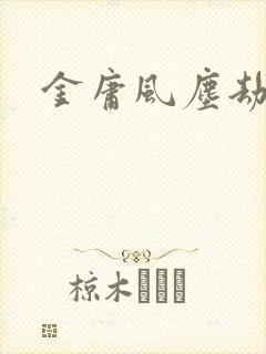 金庸风尘劫