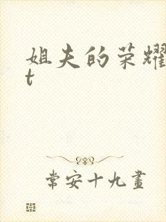 姐夫的荣耀txt封面