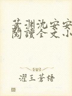 萧渊沈安安免费阅读全文小说封面