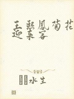 王熙凤菊花门初迎来客