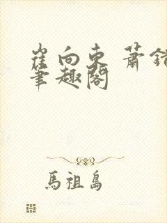 崔向东 萧错 笔趣阁封面