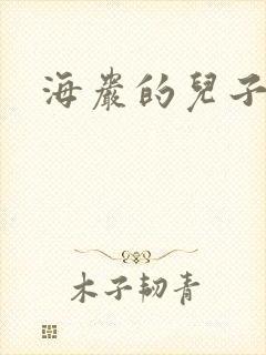 海岩的儿子