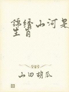 锦绣山河是什么生肖封面