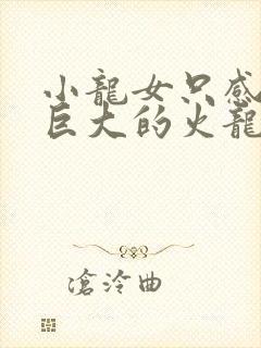 小龙女只感觉那巨大的火龙枪封面