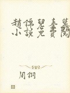 赵锦儿秦慕修的小说免费阅读全文