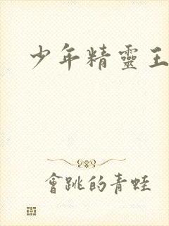 少年精灵王