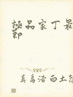 极品家丁最新章节