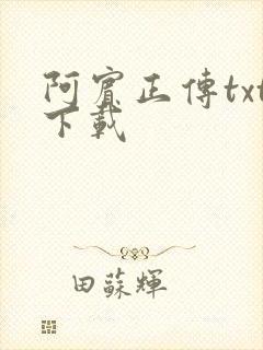 阿宾正传txt下载