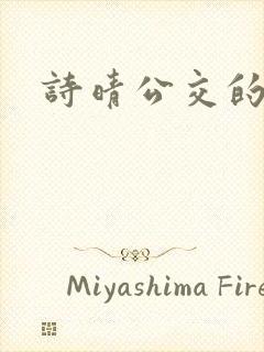 诗晴公交的小说