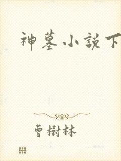 神墓小说下载封面