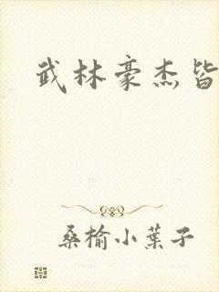 武林豪杰皆我奴