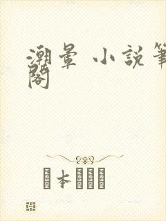 潮晕 小说笔趣阁