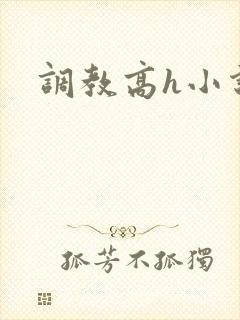 调教高h小说