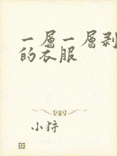 一层一层剥开我的衣服