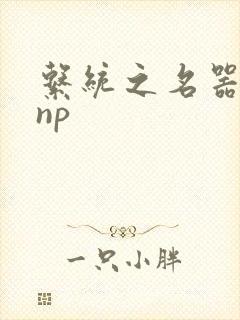 系统之名器攻略np