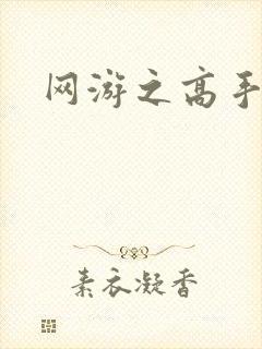 网游之高手寂寞封面