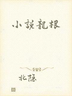 小说龙根